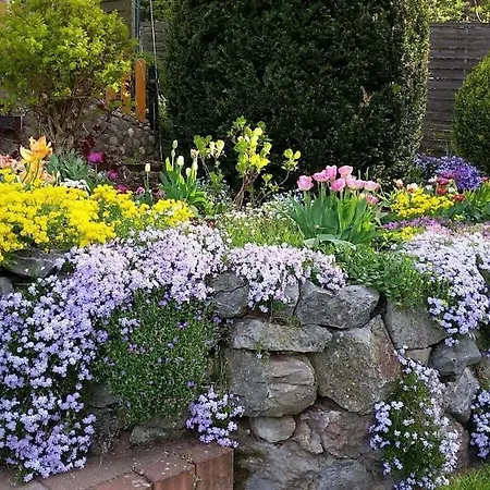 Vakantiehuis In With Swimming Pool Kall