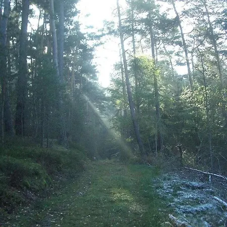 In With Swimming Pool Kall