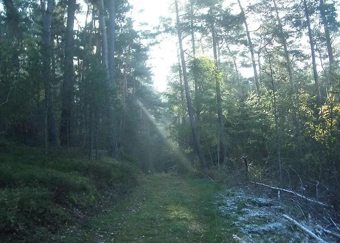 In With Swimming Pool Kall