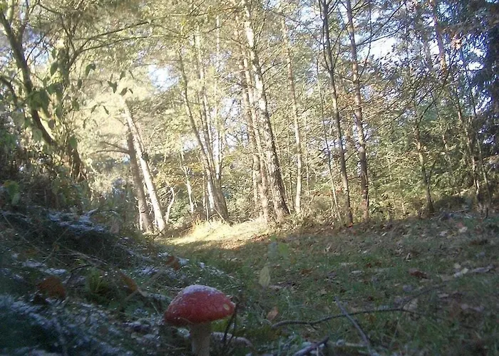 In With Swimming Pool Feriehus Kall